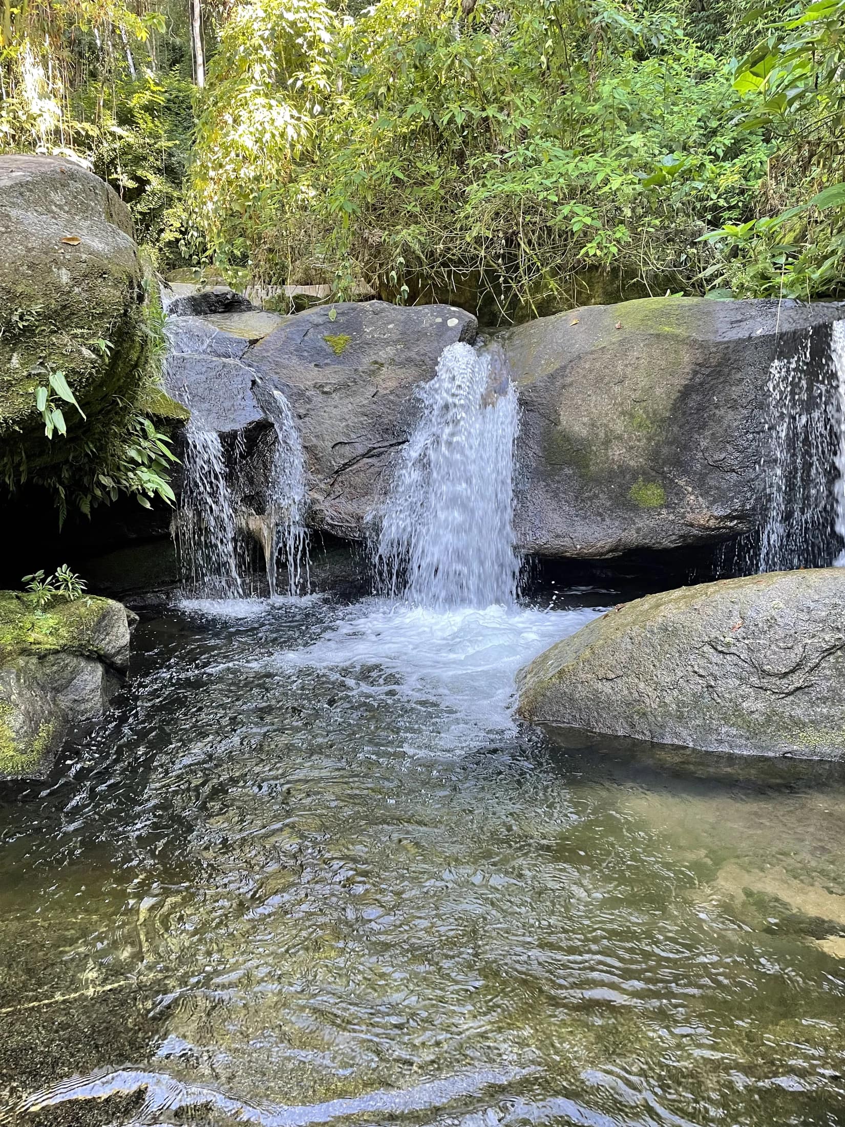 Trecho verde e sombreado ao redor da pousada