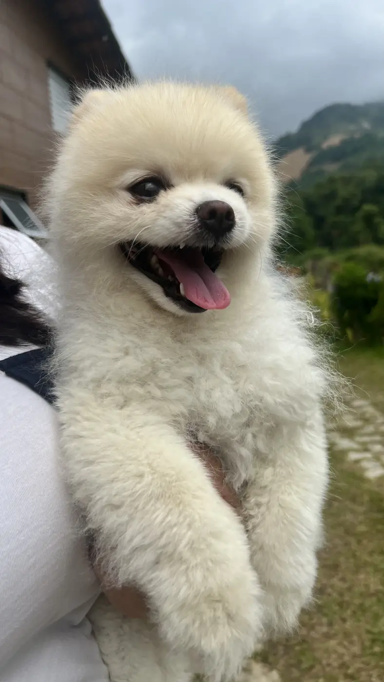 Momento pet friendly na Nature Village